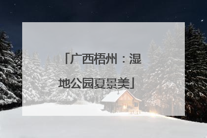 广西梧州：湿地公园夏景美