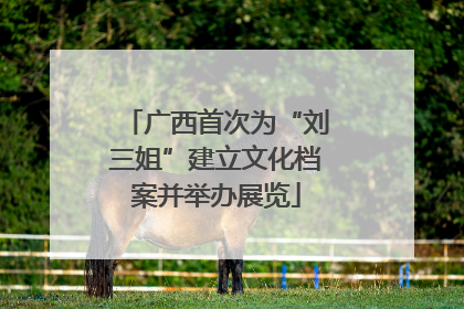 广西首次为“刘三姐”建立文化档案并举办展览