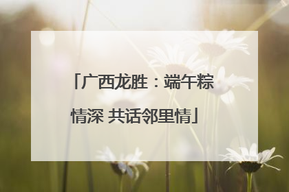 广西龙胜：端午粽情深 共话邻里情