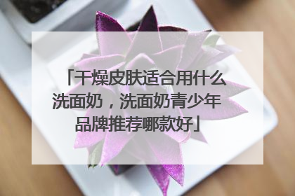干燥皮肤适合用什么洗面奶，洗面奶青少年品牌推荐哪款好