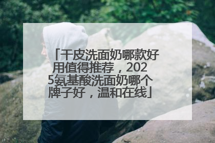 干皮洗面奶哪款好用值得推荐，2025氨基酸洗面奶哪个牌子好，温和在线