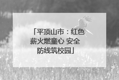 平顶山市：红色薪火燃童心 安全防线筑校园