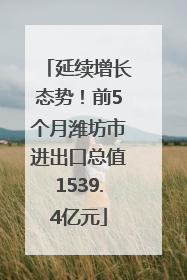 延续增长态势！前5个月潍坊市进出口总值1539.4亿元