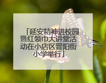 延安精神进校园暨红领巾大讲堂活动在小店区晋阳街小学举行