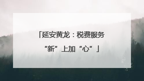 延安黄龙：税费服务“新”上加“心”