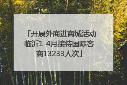 开展外商进商城活动 临沂1-4月接待国际客商13233人次