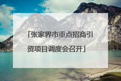 张家界市重点招商引资项目调度会召开