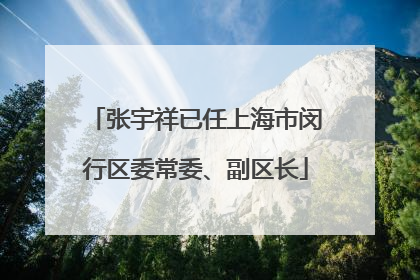 张宇祥已任上海市闵行区委常委、副区长
