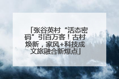 张谷英村“活态密码”引百万客！古村焕新，家风+科技成文旅融合新爆点