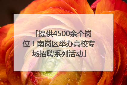 提供4500余个岗位！南岗区举办高校专场招聘系列活动