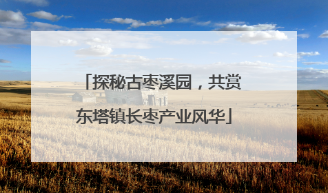 探秘古枣溪园，共赏东塔镇长枣产业风华