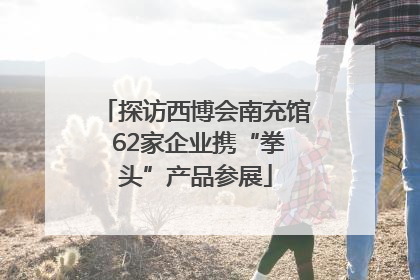 探访西博会南充馆 62家企业携“拳头”产品参展