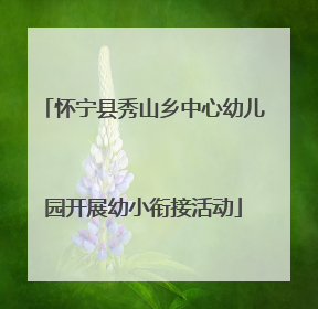 怀宁县秀山乡中心幼儿园开展幼小衔接活动