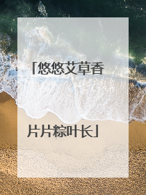 悠悠艾草香 片片粽叶长