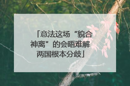 意法这场“貌合神离”的会晤难解两国根本分歧