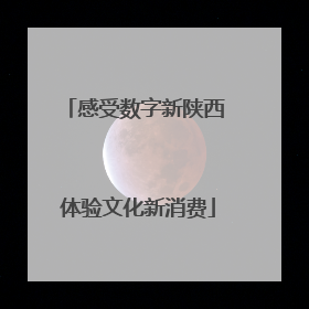 感受数字新陕西 体验文化新消费
