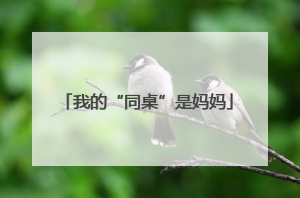 我的“同桌”是妈妈
