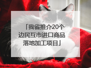 我省推介20个边民互市进口商品落地加工项目