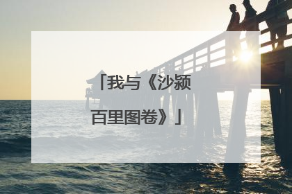 我与《沙颍百里图卷》