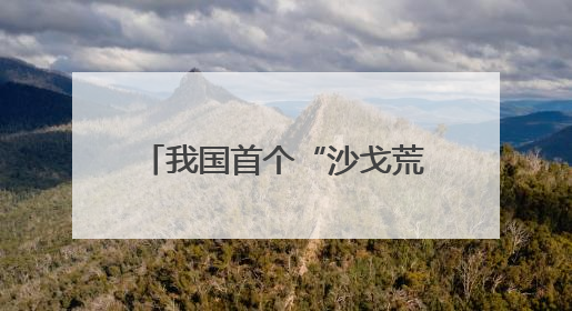 我国首个“沙戈荒”新能源外送基地首批机组投产发电