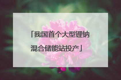 我国首个大型锂钠混合储能站投产