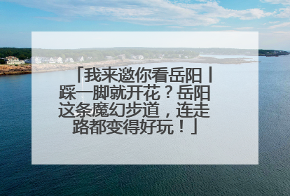 我来邀你看岳阳丨踩一脚就开花？岳阳这条魔幻步道，连走路都变得好玩！