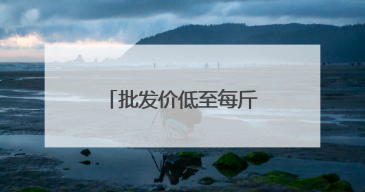 批发价低至每斤4元 兰州市民享受“荔枝自由”