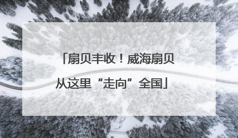 扇贝丰收！威海扇贝从这里“走向”全国