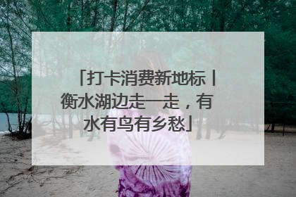 打卡消费新地标丨衡水湖边走一走，有水有鸟有乡愁