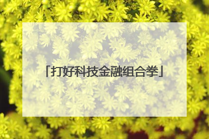 打好科技金融组合拳