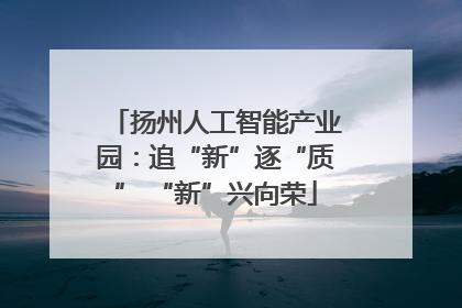 扬州人工智能产业园：追“新”逐“质” “新”兴向荣
