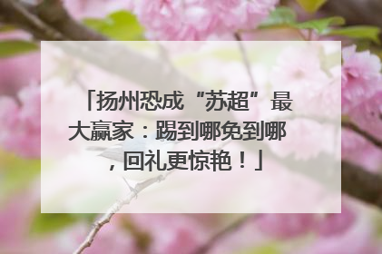 扬州恐成“苏超”最大赢家：踢到哪免到哪，回礼更惊艳！