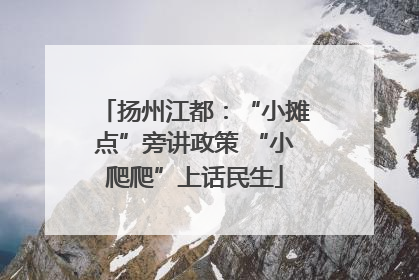 扬州江都：“小摊点”旁讲政策 “小爬爬”上话民生