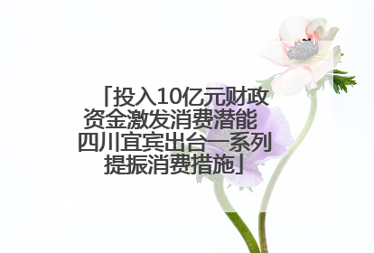 投入10亿元财政资金激发消费潜能 四川宜宾出台一系列提振消费措施