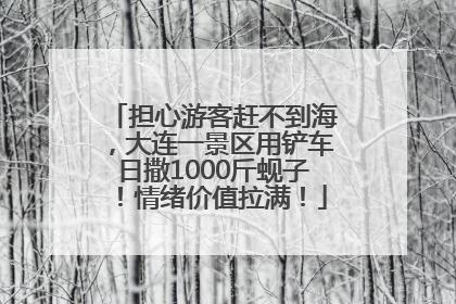 担心游客赶不到海，大连一景区用铲车日撒1000斤蚬子！情绪价值拉满！