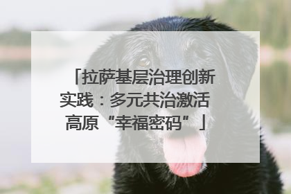 拉萨基层治理创新实践：多元共治激活高原“幸福密码”