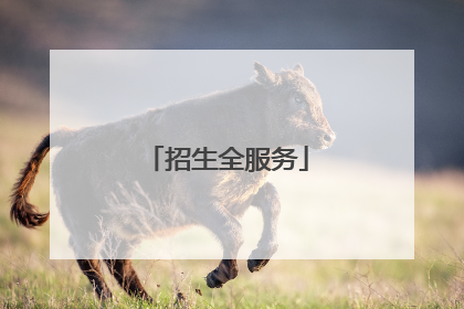 招生全服务