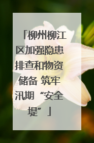 柳州柳江区加强隐患排查和物资储备 筑牢汛期“安全堤”