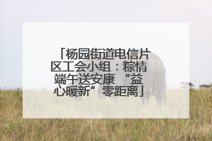 杨园街道电信片区工会小组：粽情端午送安康 “益心暖新”零距离