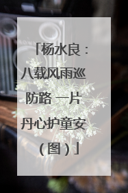 杨水良：八载风雨巡防路 一片丹心护童安（图）