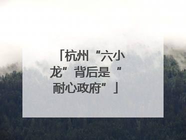 杭州“六小龙”背后是“耐心政府”