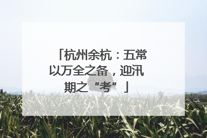 杭州余杭：五常以万全之备，迎汛期之“考”