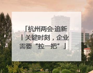 杭州两会·追新丨关键时刻，企业需要“拉一把”