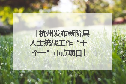 杭州发布新阶层人士统战工作“十个一”重点项目