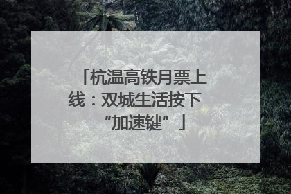 杭温高铁月票上线：双城生活按下“加速键”