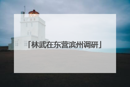 林武在东营滨州调研