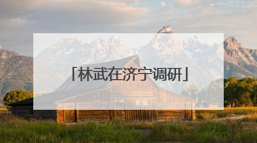 林武在济宁调研