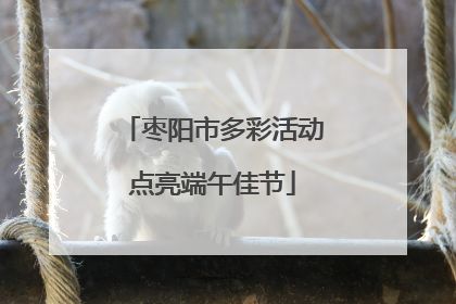 枣阳市多彩活动点亮端午佳节