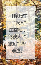 摩托车“误入”庄稼地，驾驶人“撒泼”终难逃