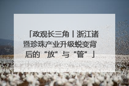 政观长三角丨浙江诸暨珍珠产业升级蜕变背后的“放”与“管”